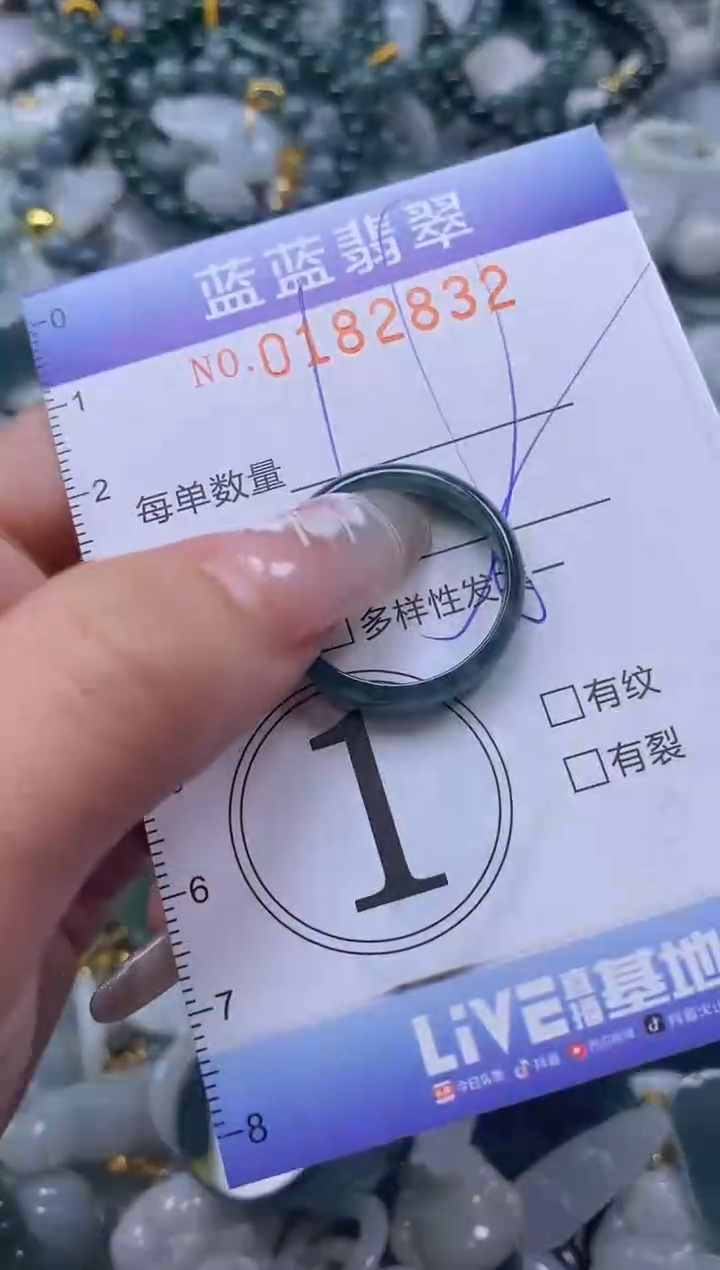 【闪购商品】翡翠颈饰未镶嵌闪购0182832