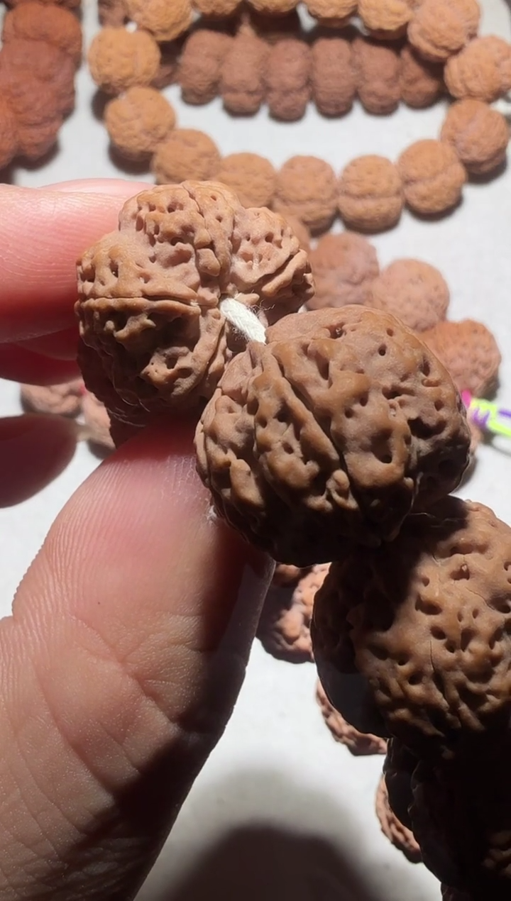 【闪购商品】金刚菩提手串深沟梅花双龙21