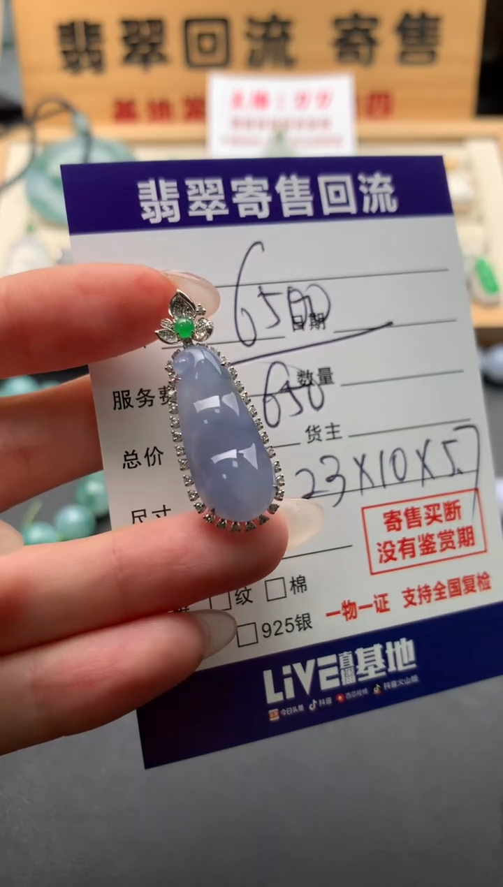 翡翠18K金镶嵌颈饰10133316