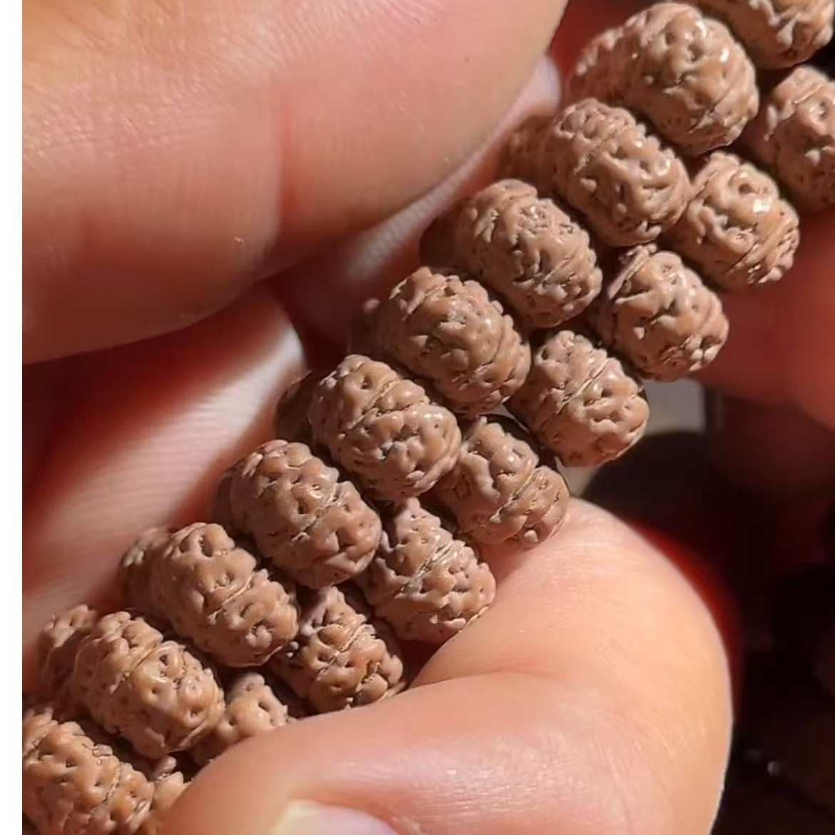 【 明台 】2025年精选老树王小金刚长串【108】【2025.06.08】