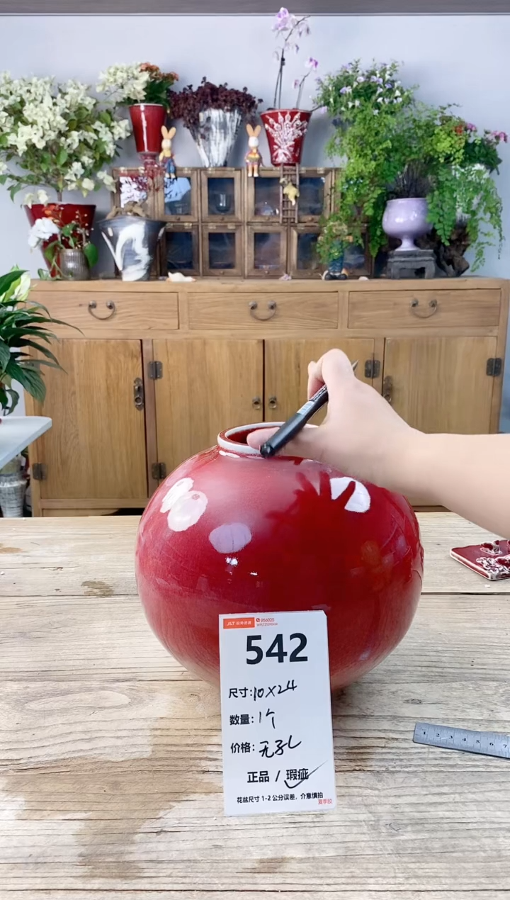 小玩子花盆直播号542