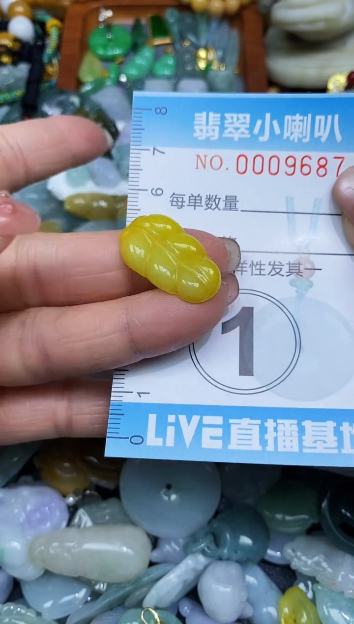 【闪购商品】翡翠颈饰未镶嵌闪购0009687