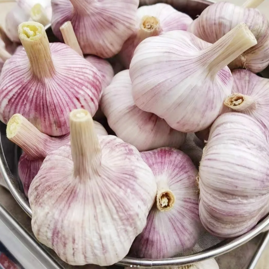 新鲜红皮蒜头 约250g