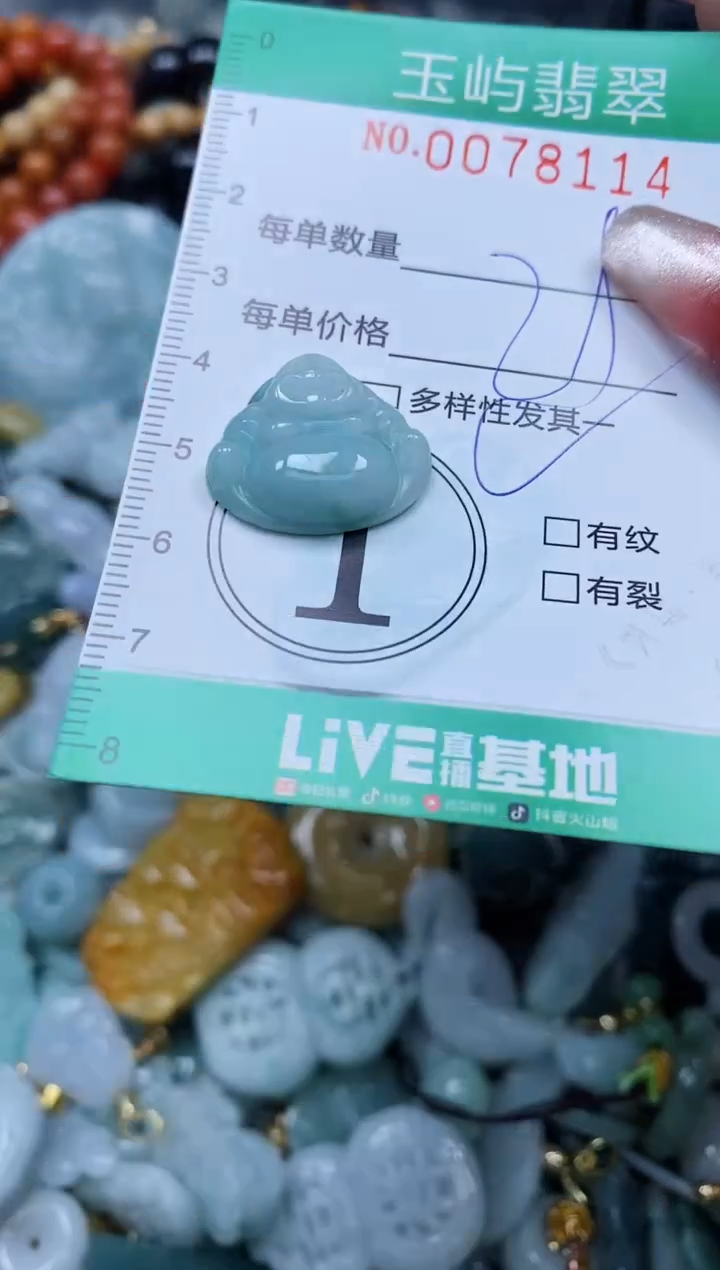 【闪购商品】翡翠颈饰未镶嵌闪购0078114