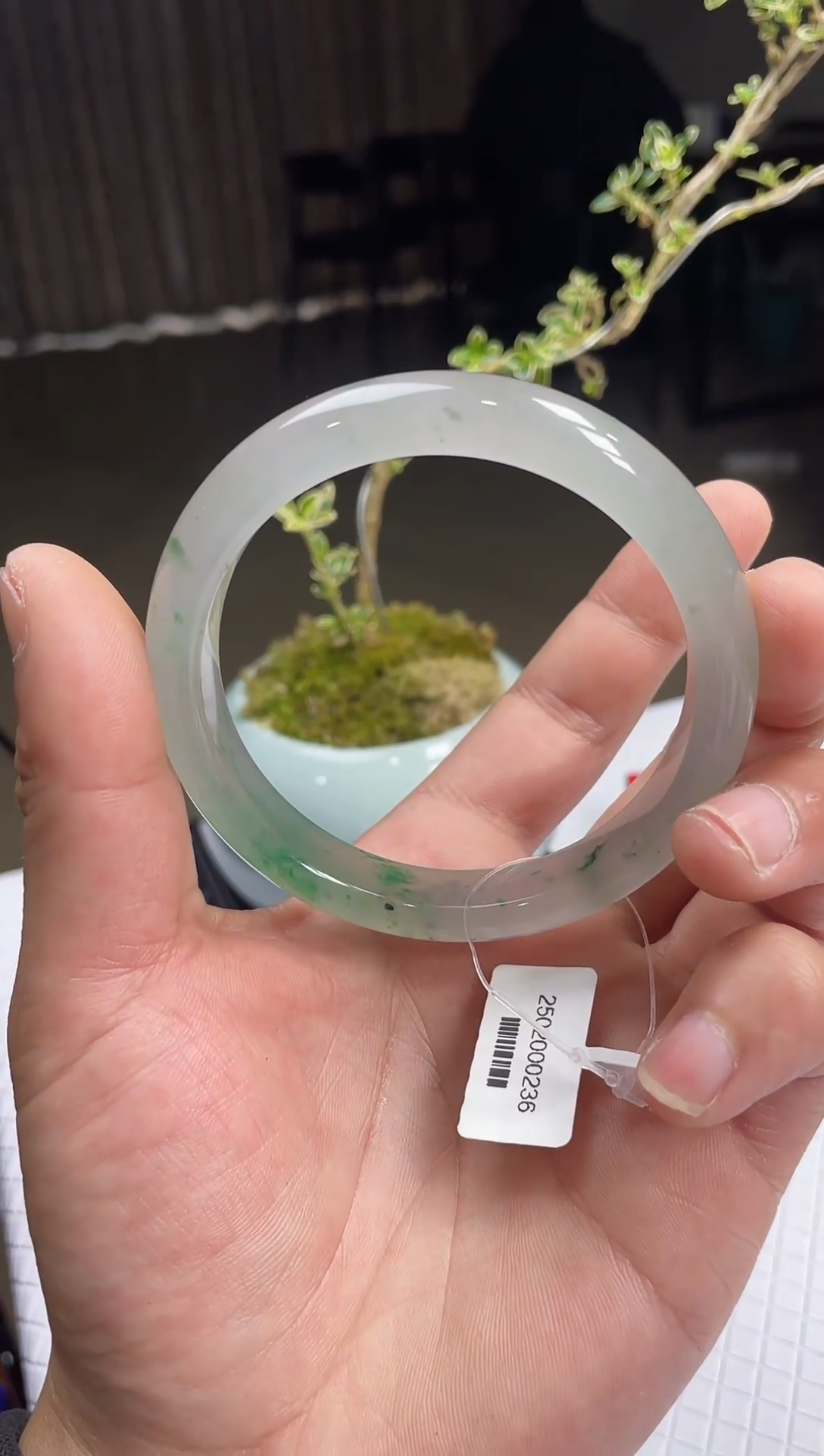 【闪购商品】石英质玉手镯未镶嵌非洲翠手镯多样性发货