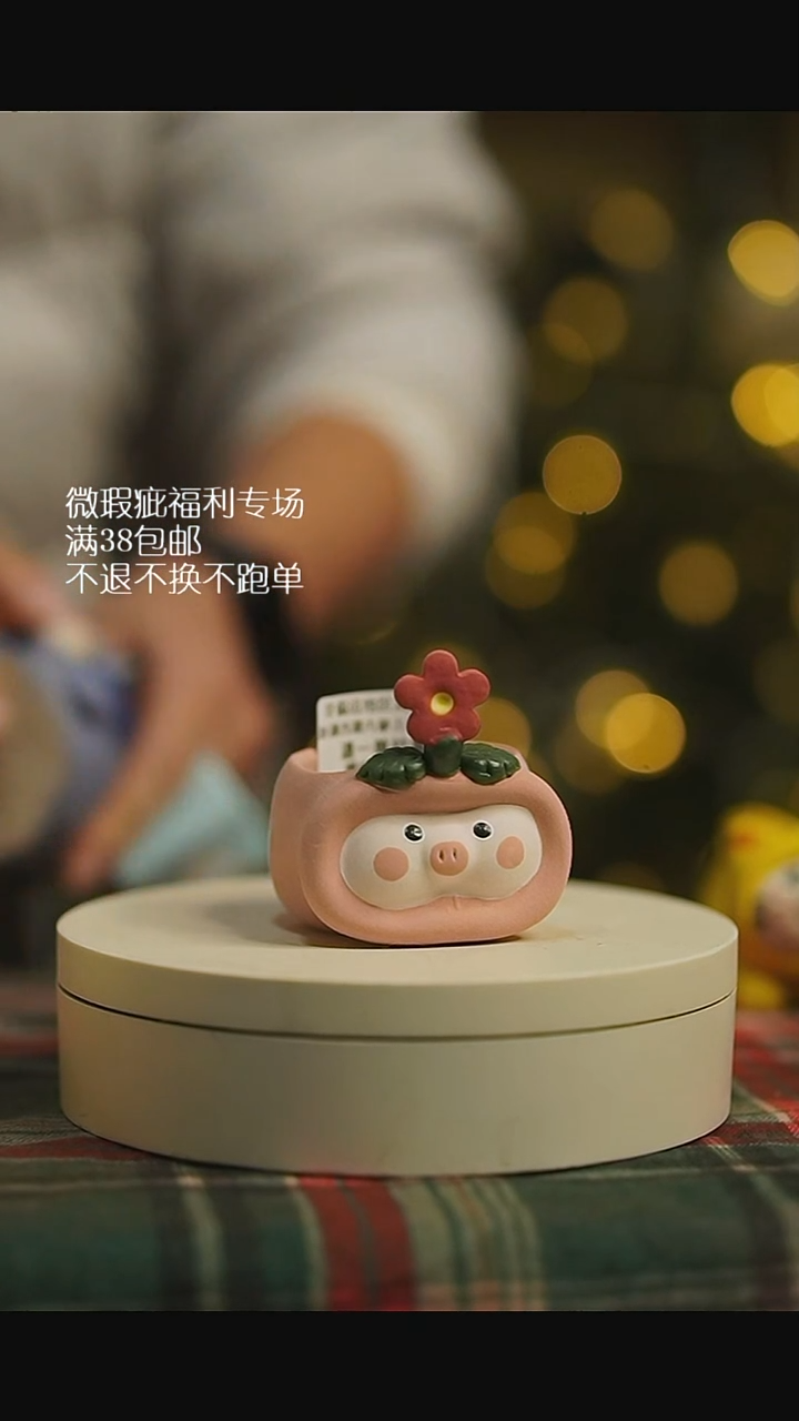 264默认微瑕花盆不退不换