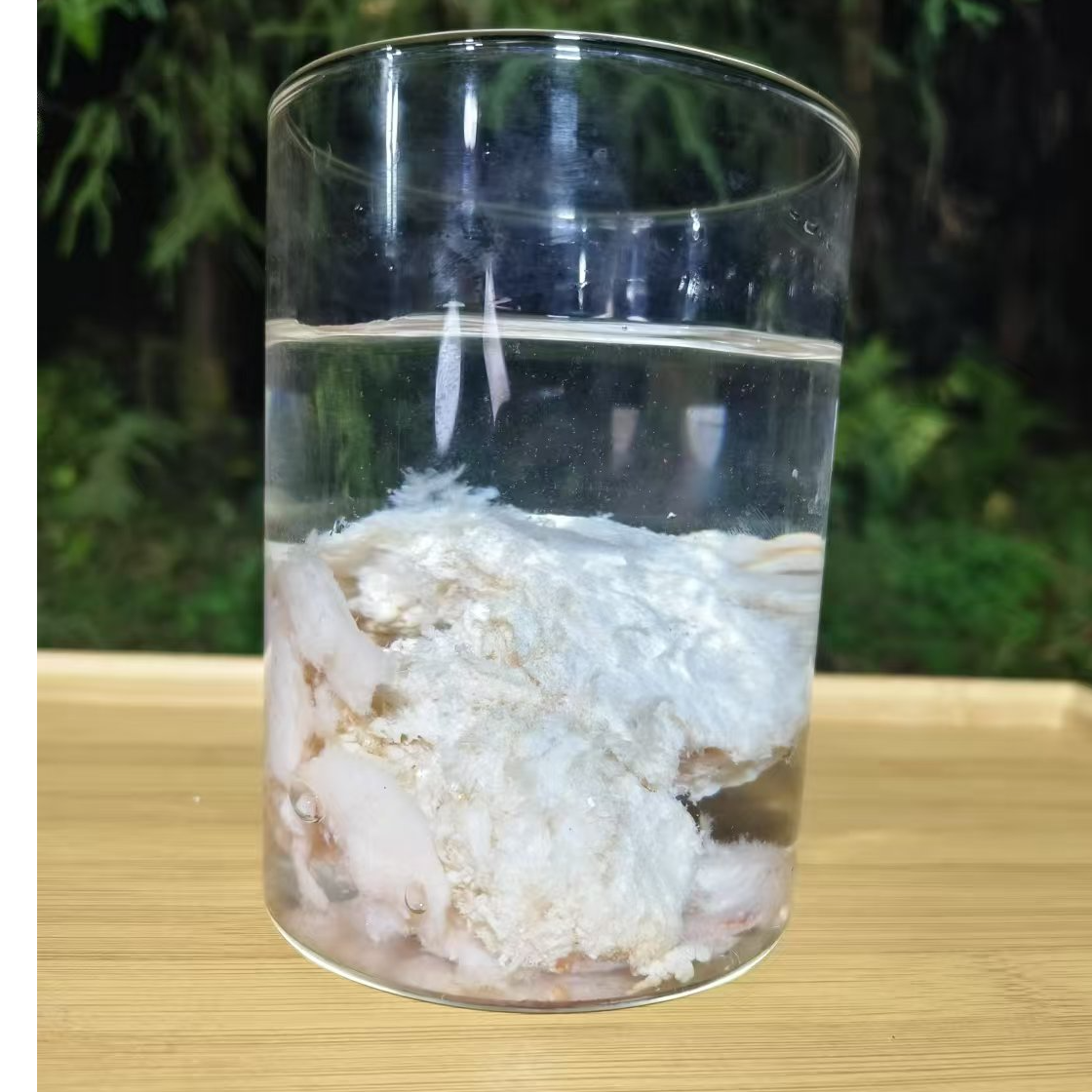 1【天-然-石-太-岁】净含量：50g-1500g【阿忠现收现卖】 菌 