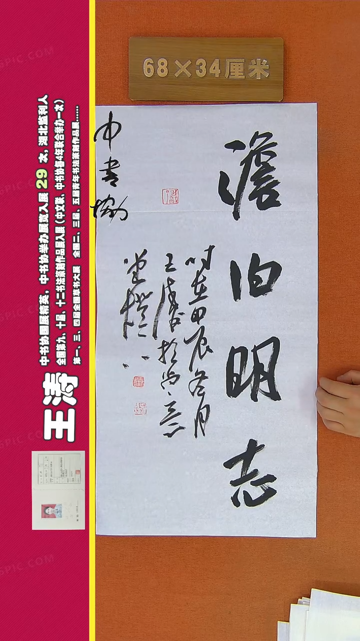 【闪购商品】书法206王涛书法作品