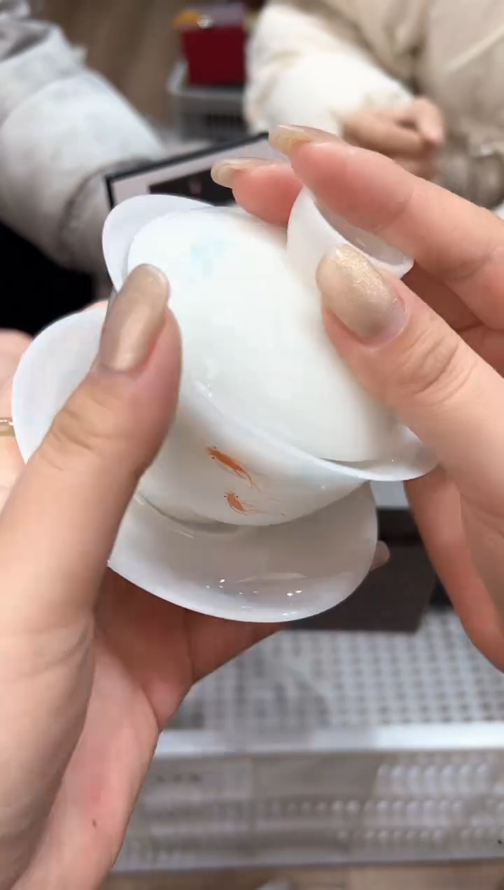 【闪购商品】@@@@@@@@@@@@1364