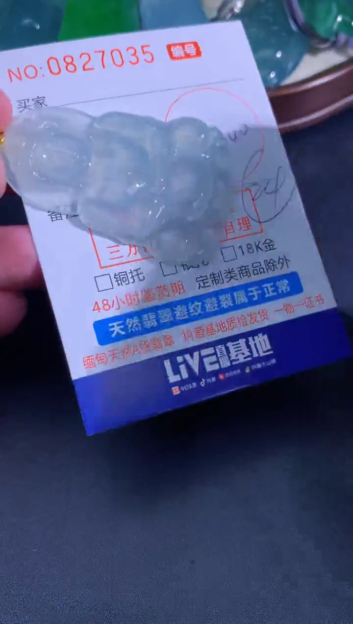 颈饰未镶嵌翡翠天然A货翡翠