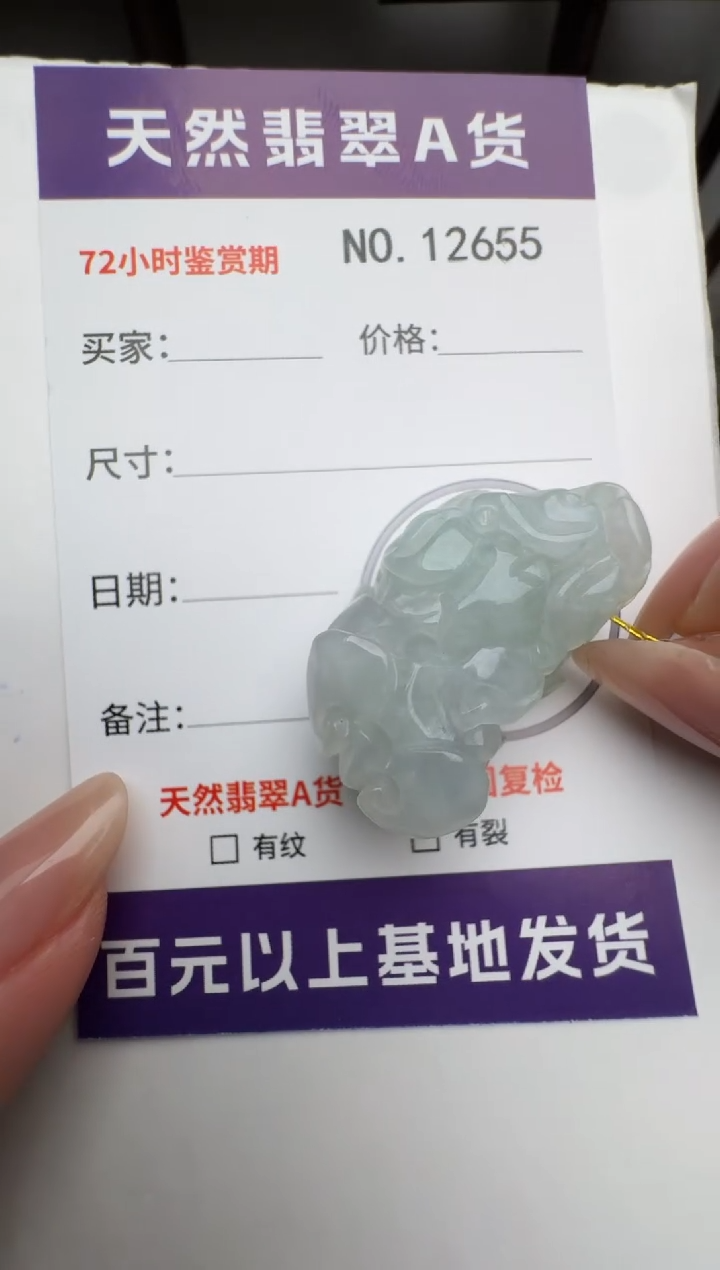 【闪购商品】翡翠颈饰未镶嵌貔貅12655