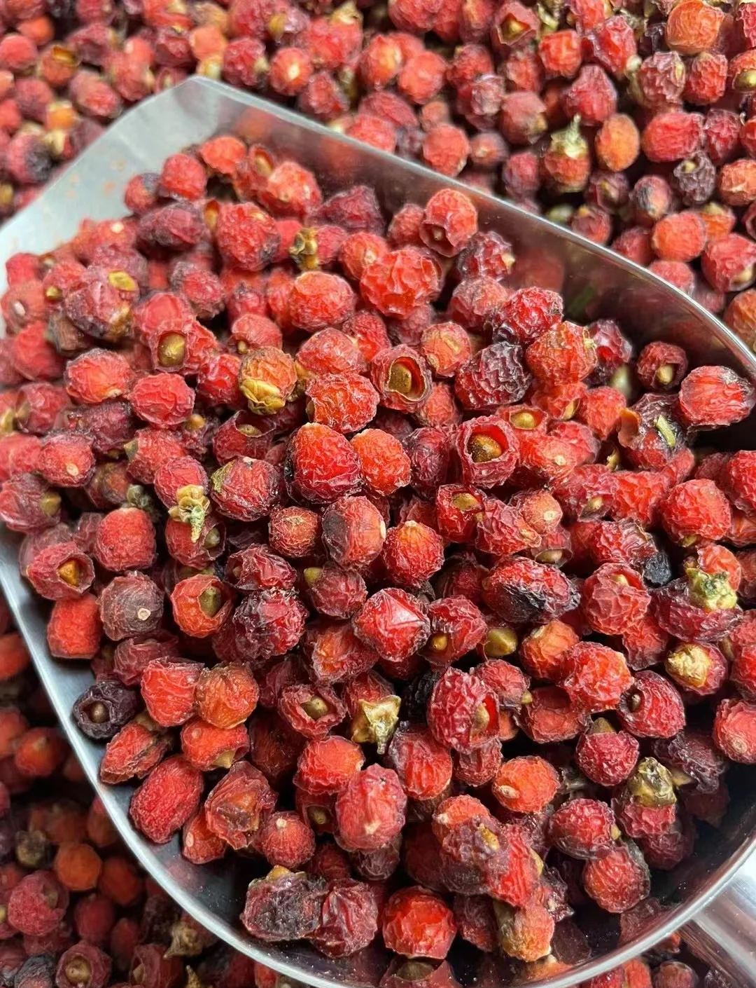 【七七推荐】高端严选红豆杉果 非枸杞