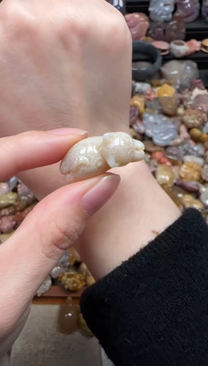 颈饰未镶嵌硅化珊瑚（珊瑚玉）210