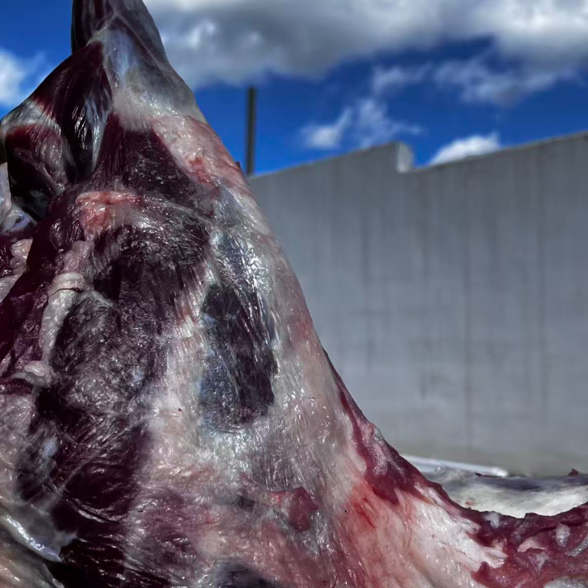 威宁高原黑山羊 新鲜羊肉 整羊切块现称3斤起拍 20%腿排