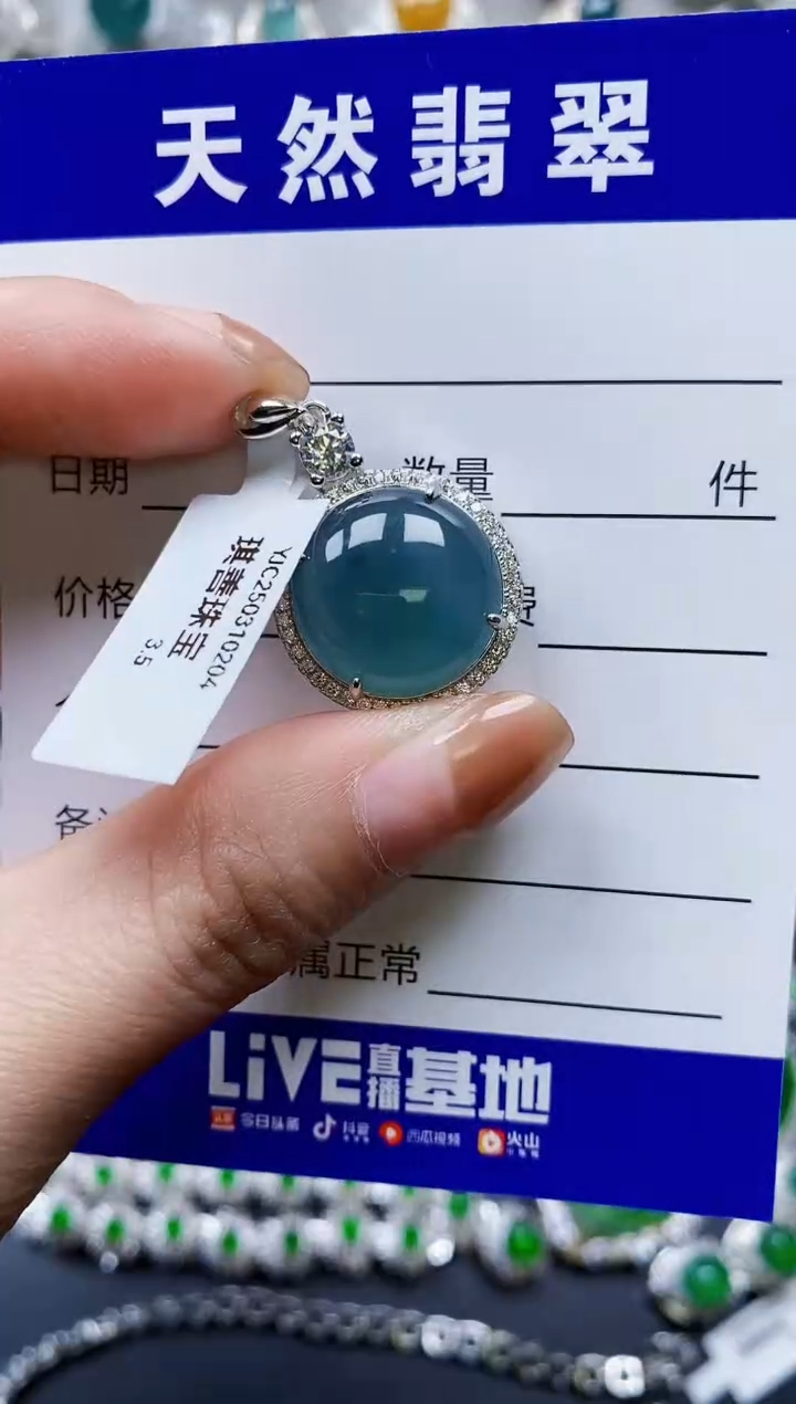 【闪购商品】翡翠颈饰银S925镶嵌0808