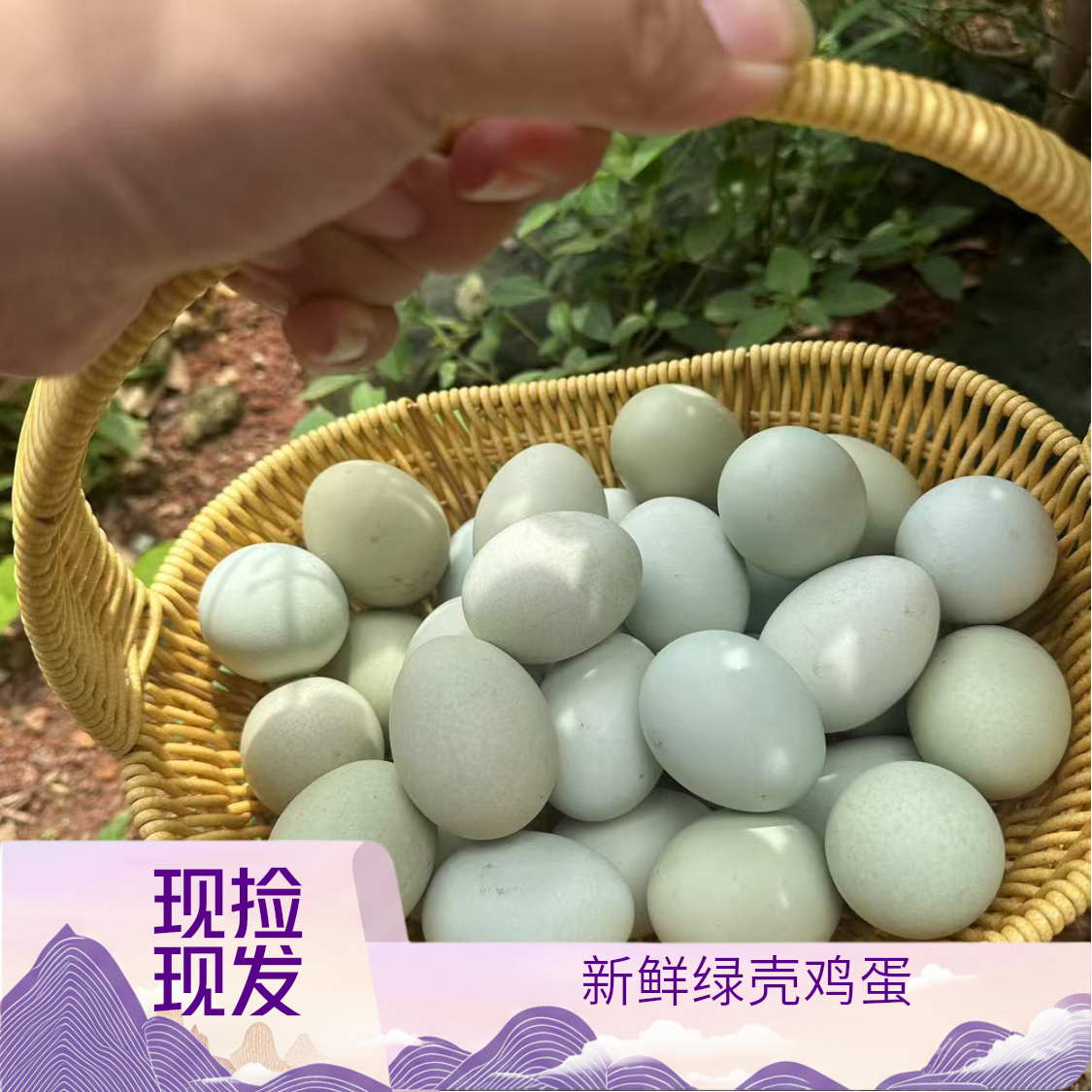 （试吃十枚）农家散养绿壳土鸡蛋蛋新鲜现捡孕妇月子宝宝营养50枚