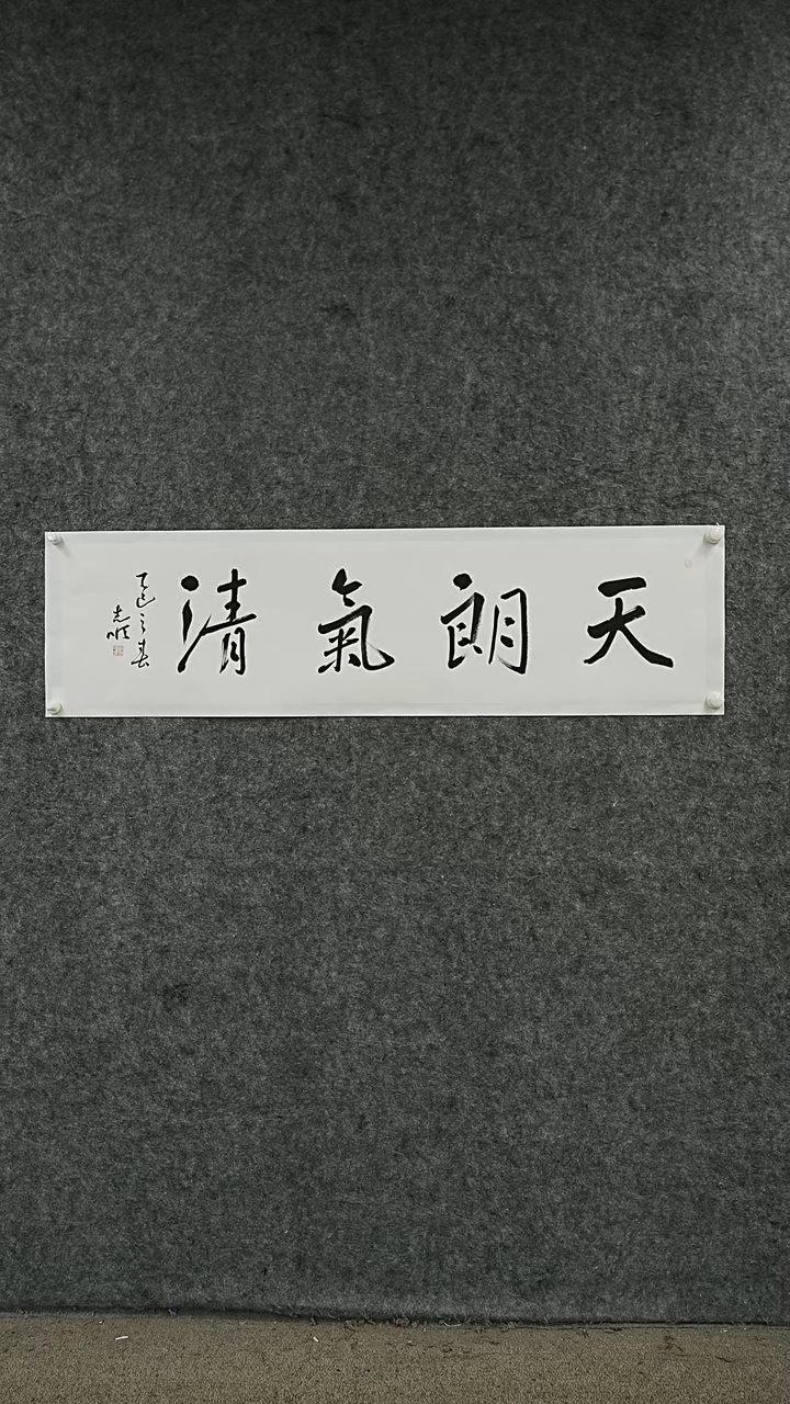 书法书法LZS老师书法作品