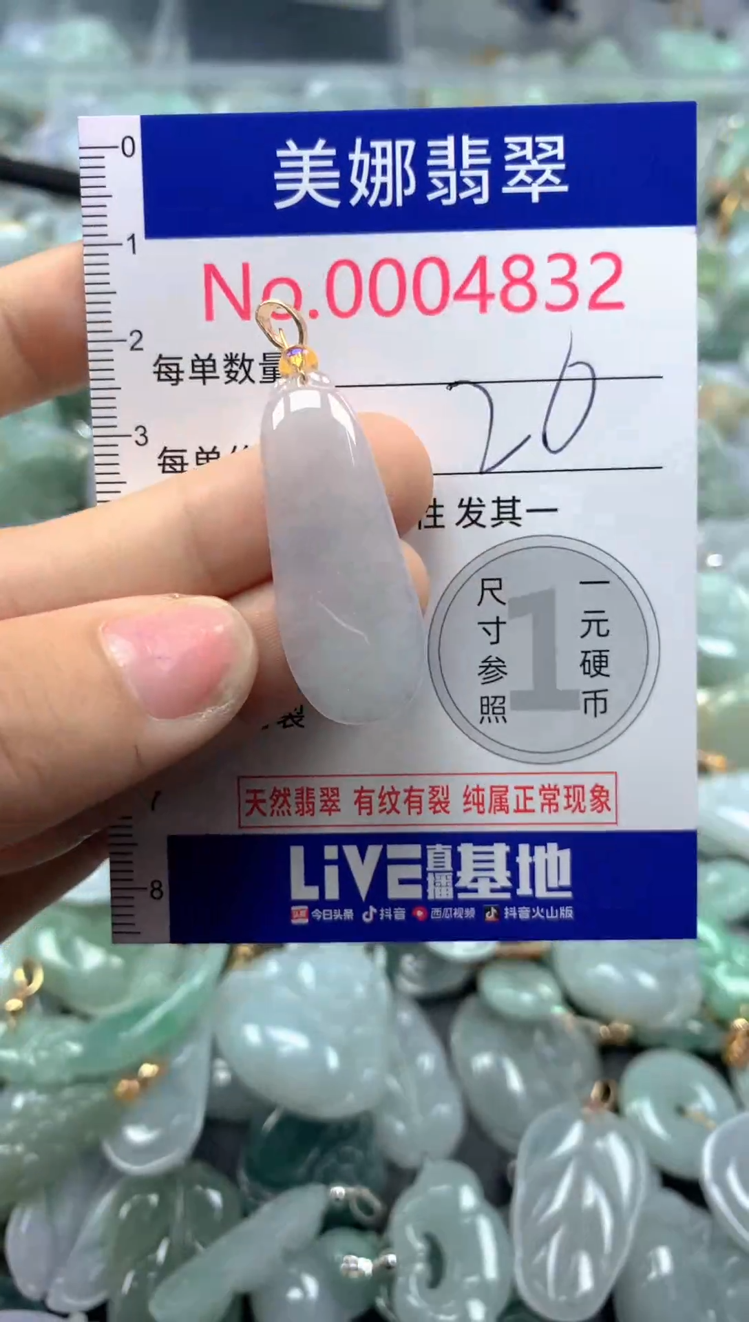 颈饰未镶嵌翡翠4832