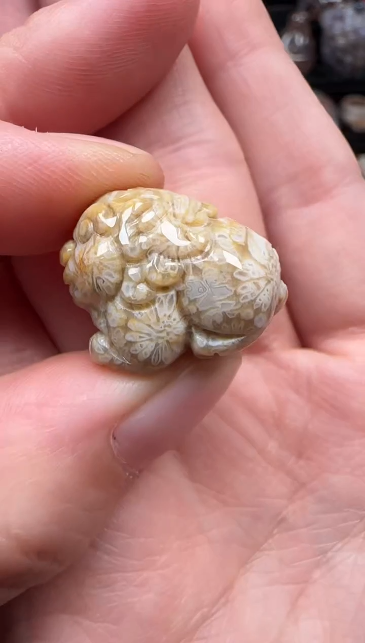 颈饰未镶嵌硅化珊瑚（珊瑚玉）215