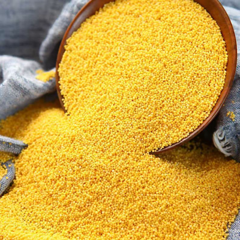 【5斤】正宗农家黄小米优质杂粮养胃营养香糯米脂小米早餐小米粥