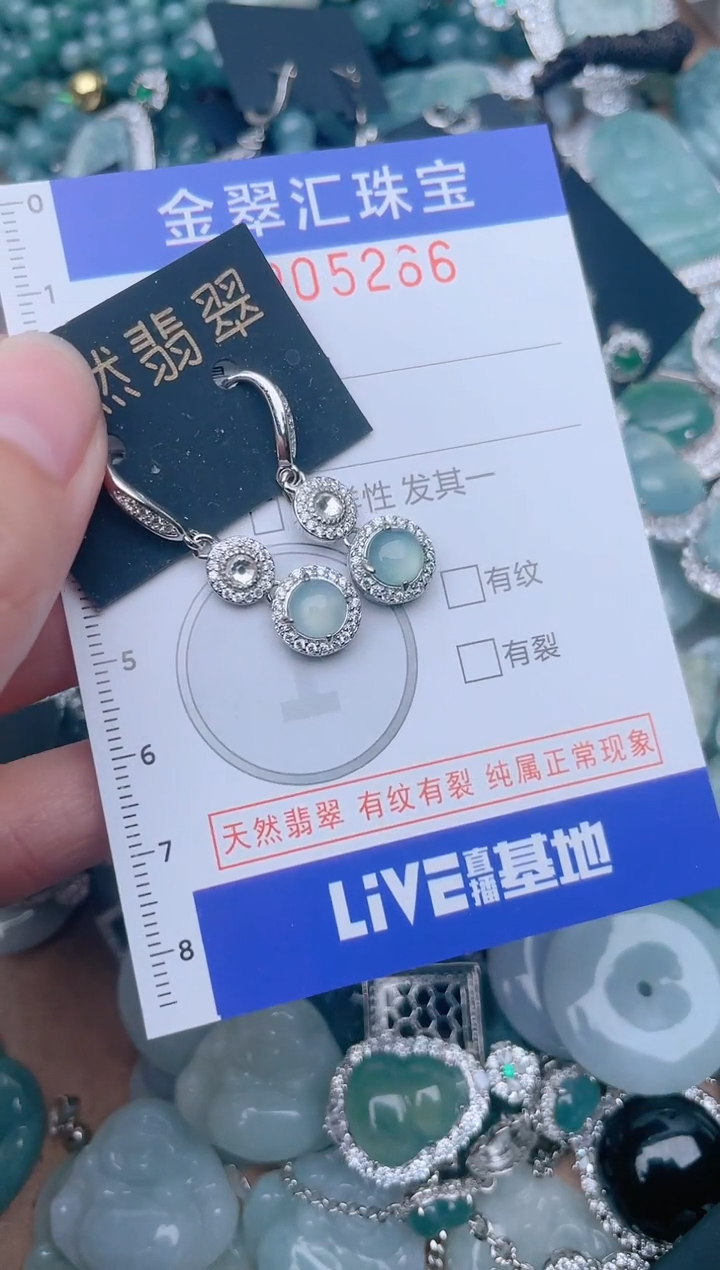 翡翠未镶嵌颈饰5286....1