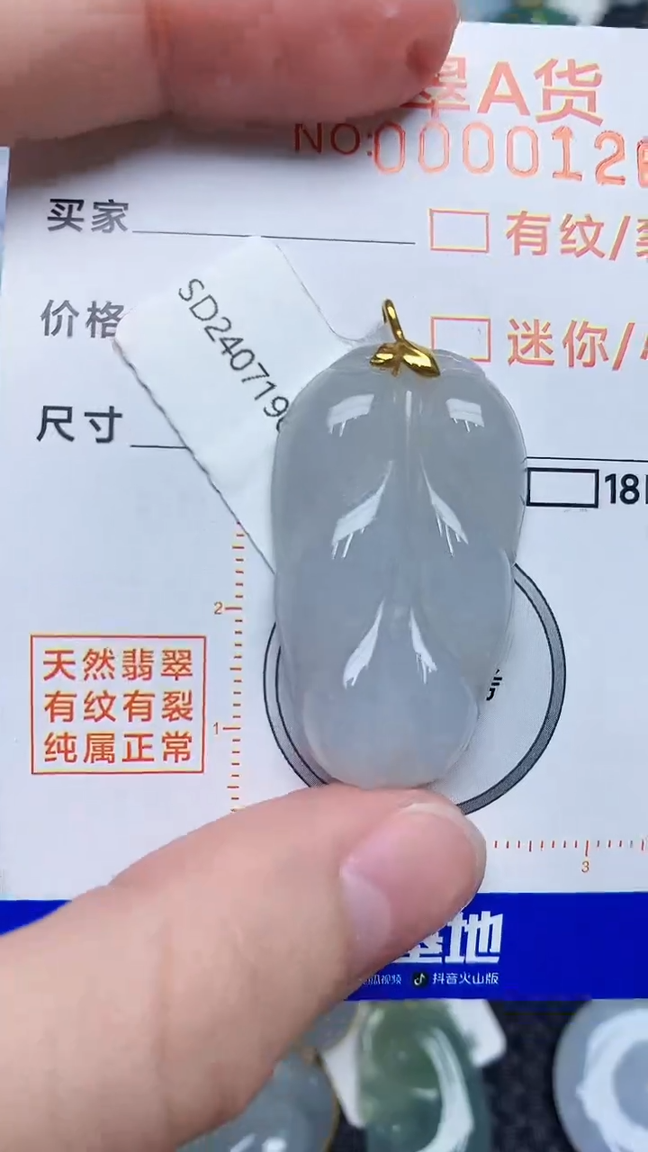 【闪购商品】翡翠颈饰18K金镶嵌8768768768
