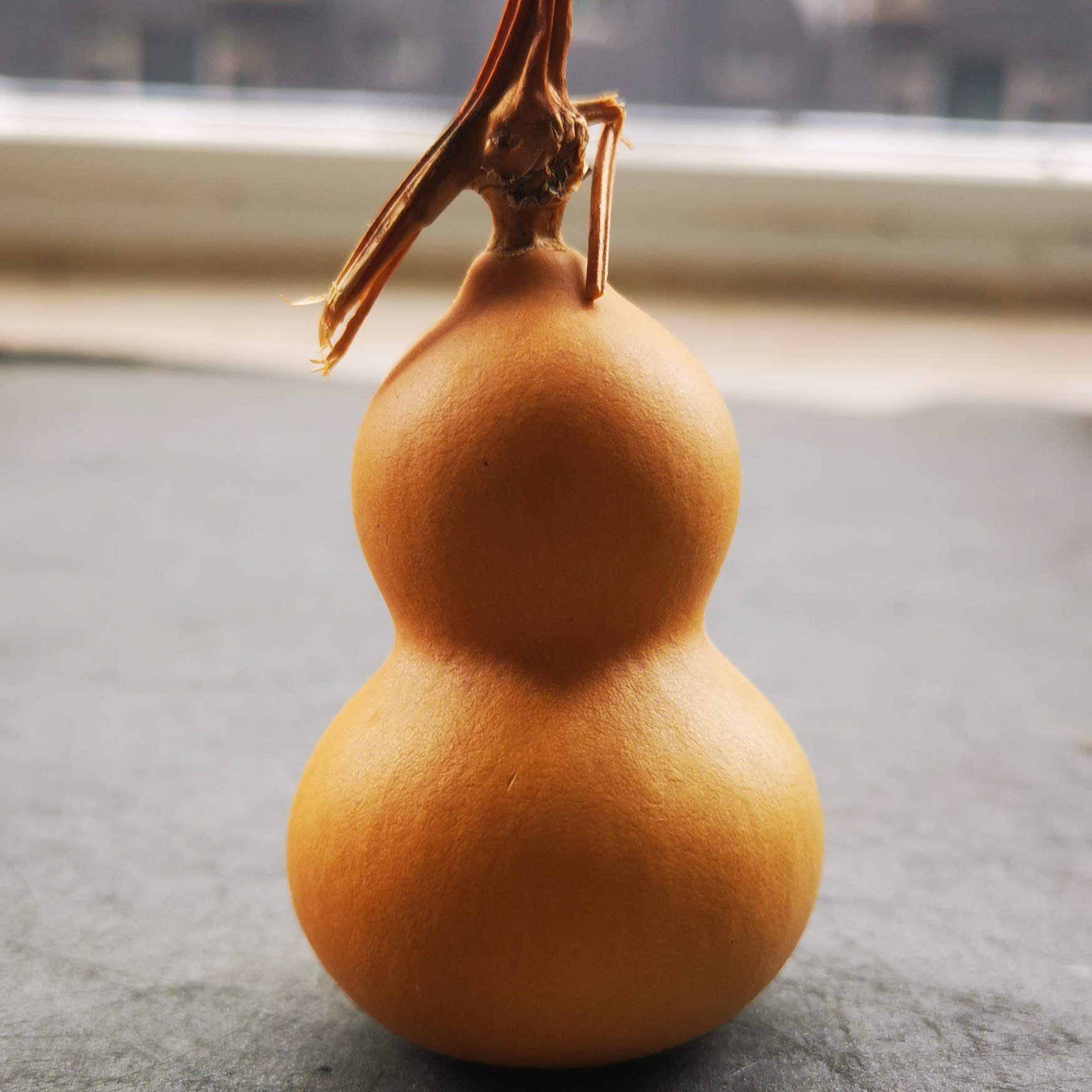 葫芦精品1号链接