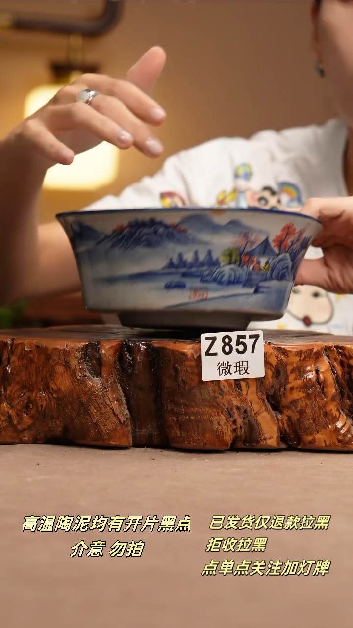 其他WZ857新十二器瓷器