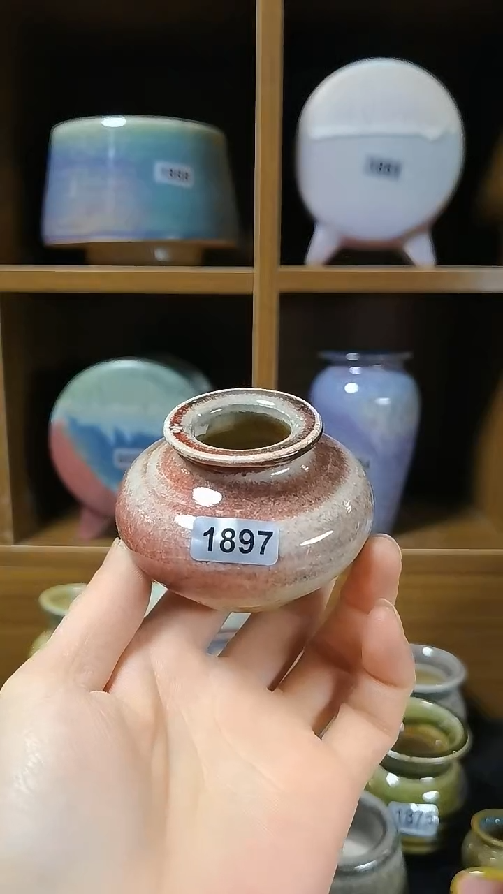 【闪购商品】红陶1897