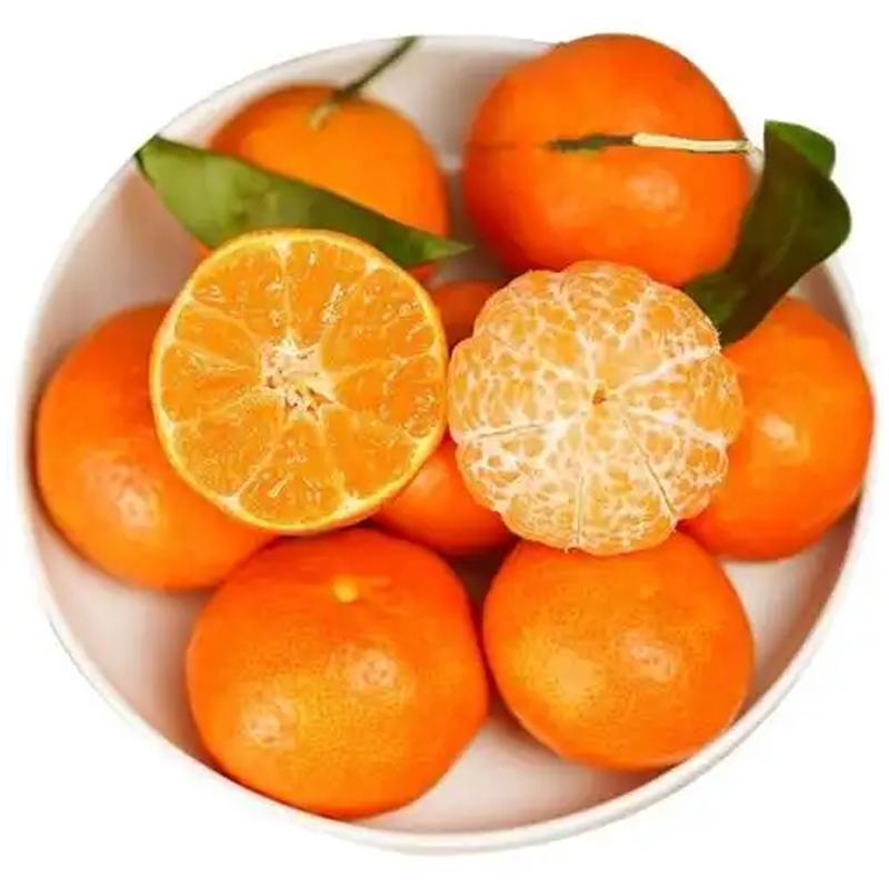 【时令】金秋砂糖桔 约500g±30g/份