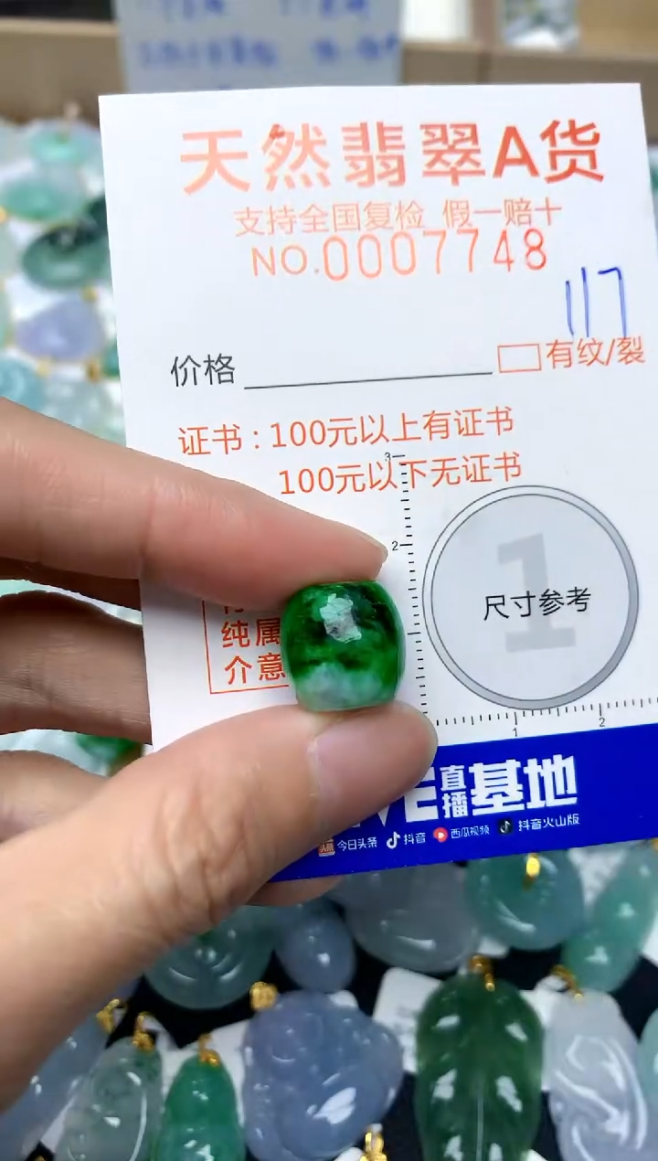 【闪购商品】翡翠颈饰未镶嵌117天然A货翡翠