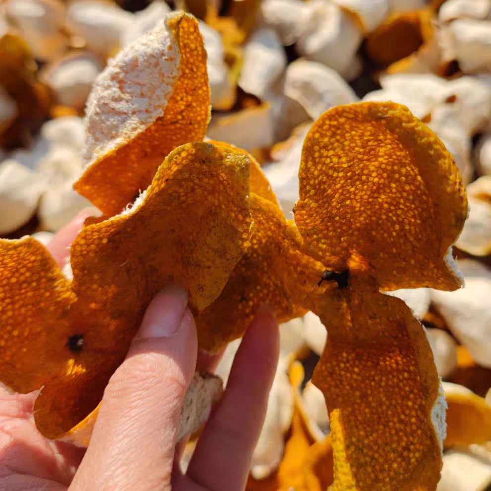 2025新会梅江圈枝大红皮通发老树皮自然生晒干仓存放超值性价比高