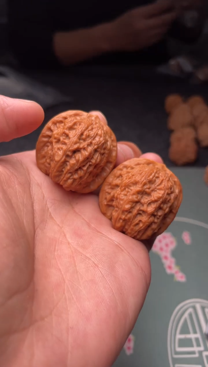 核桃a 213  血麒麟 34尺