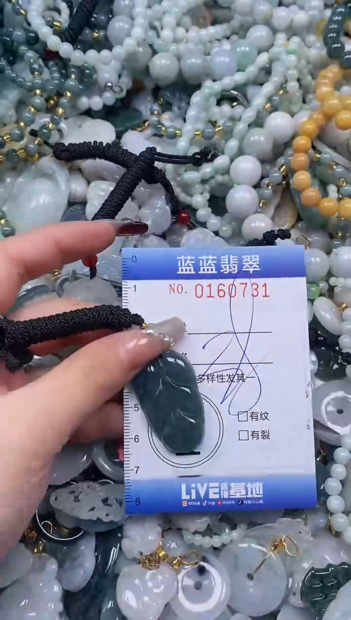 【闪购商品】翡翠颈饰未镶嵌闪购0160731