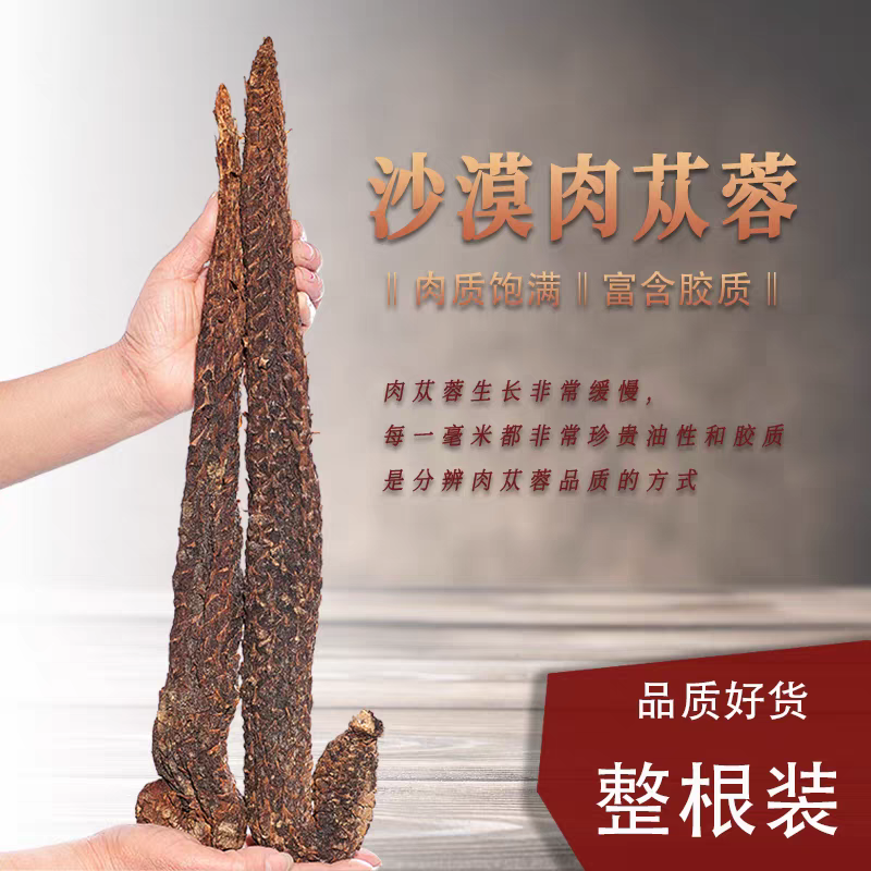 内蒙古阿拉善肉苁蓉整根干货带锁 zh2