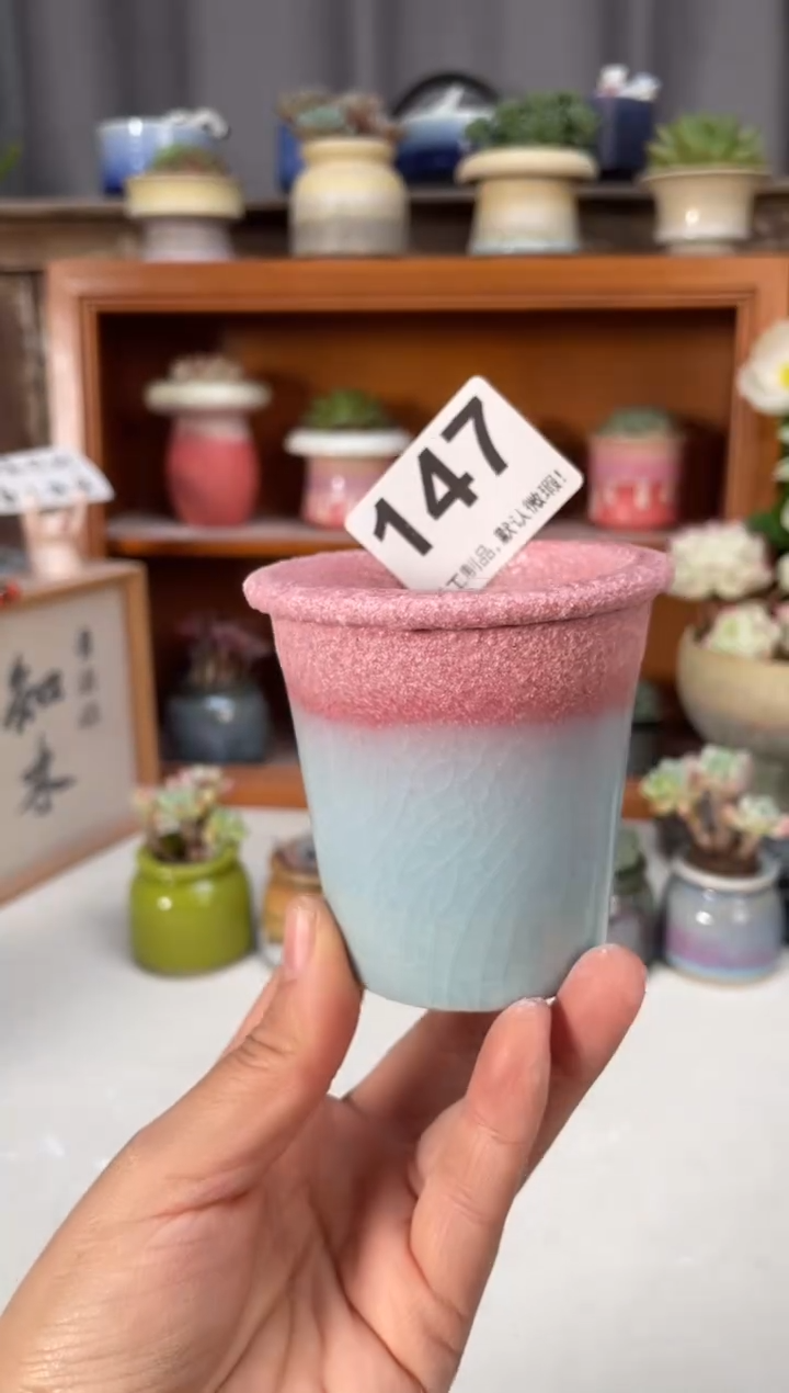 瓷片147小芳直播编号