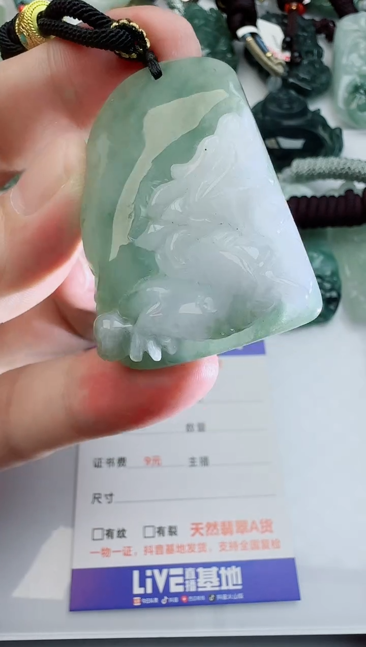 【闪购商品】翡翠颈饰未镶嵌1111111111