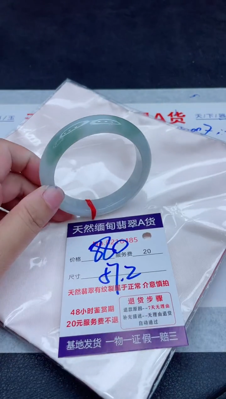 未镶嵌手镯翡翠880.00000