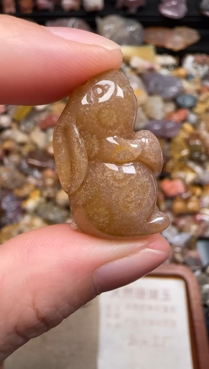 硅化珊瑚（珊瑚玉）未镶嵌颈饰203