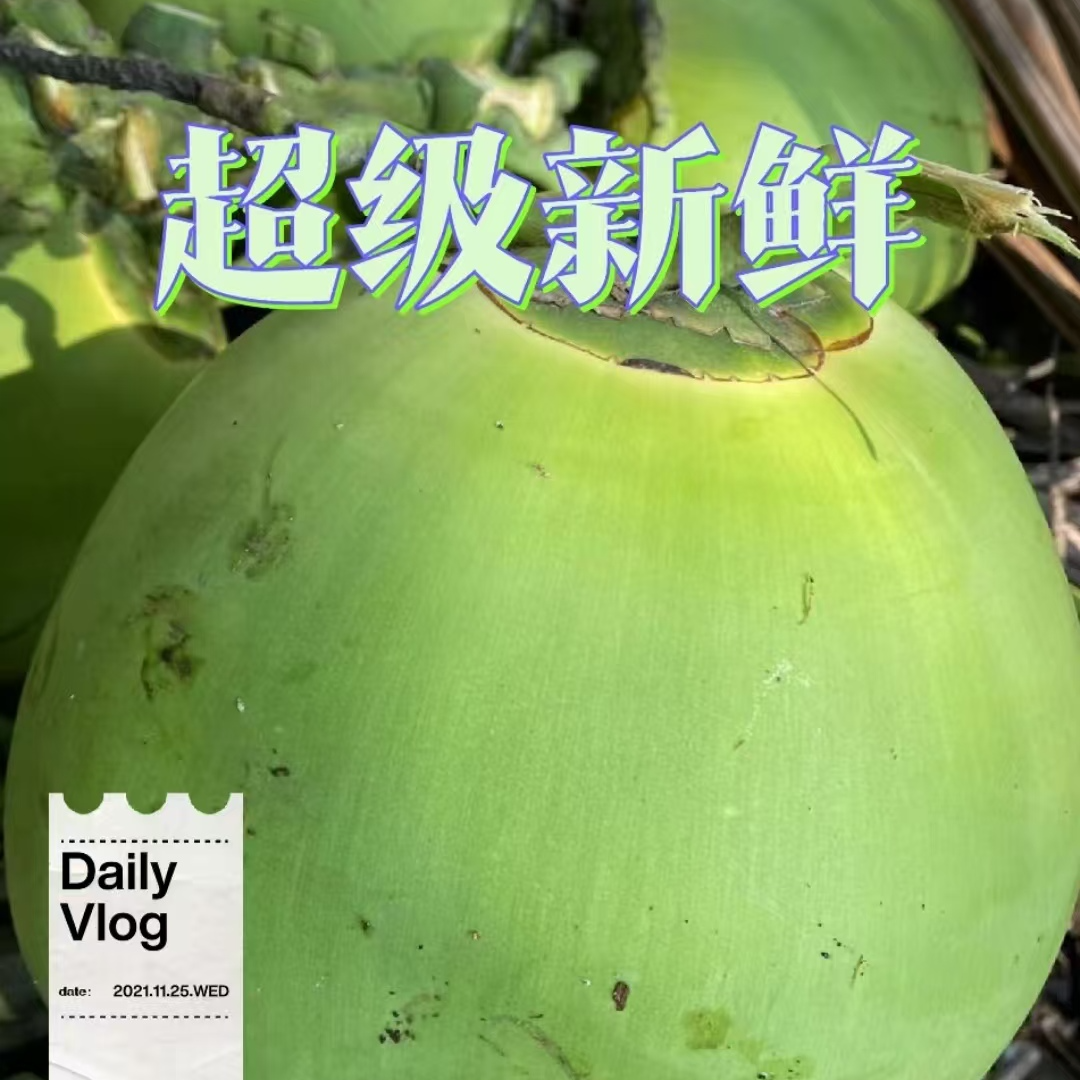 【店长推荐】鲜带皮五个海南文昌东郊椰林孕期必备天然电解质水