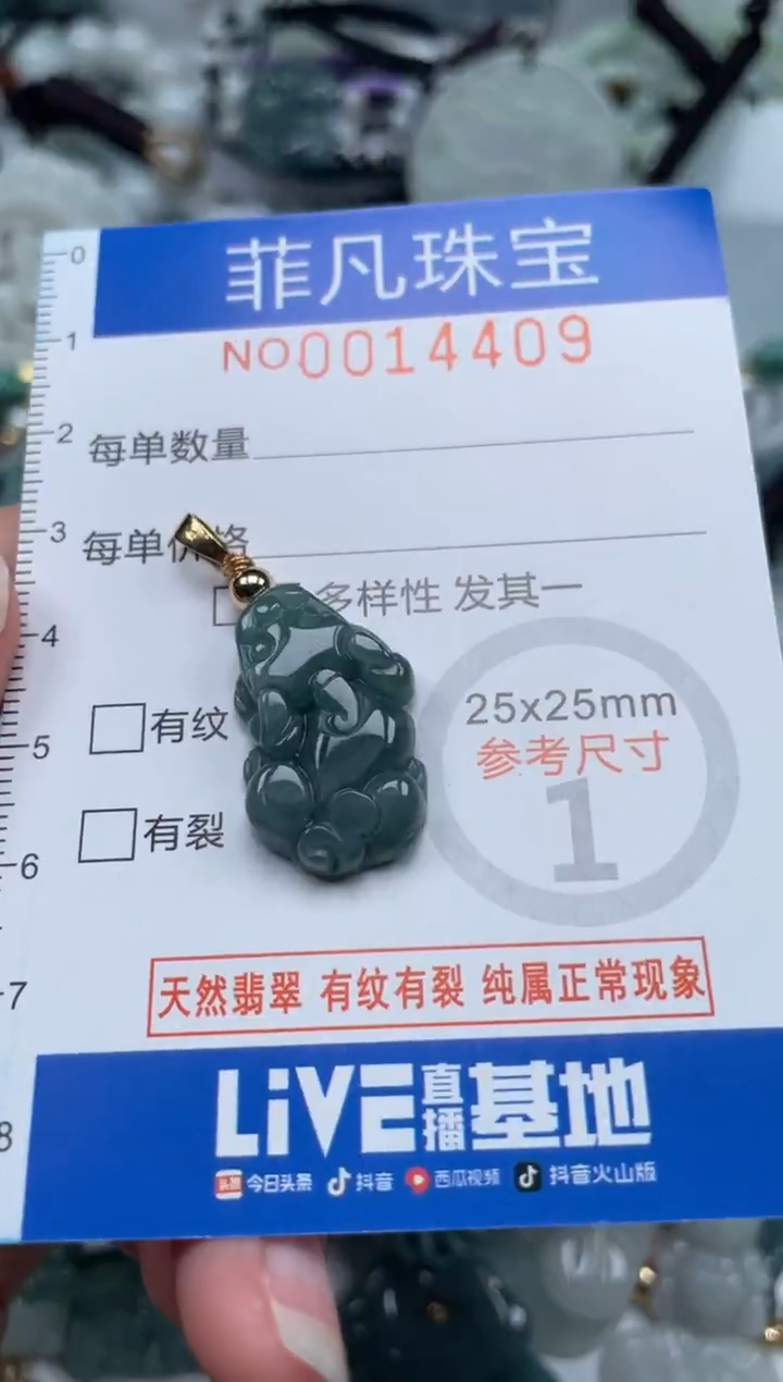 颈饰未镶嵌翡翠14409