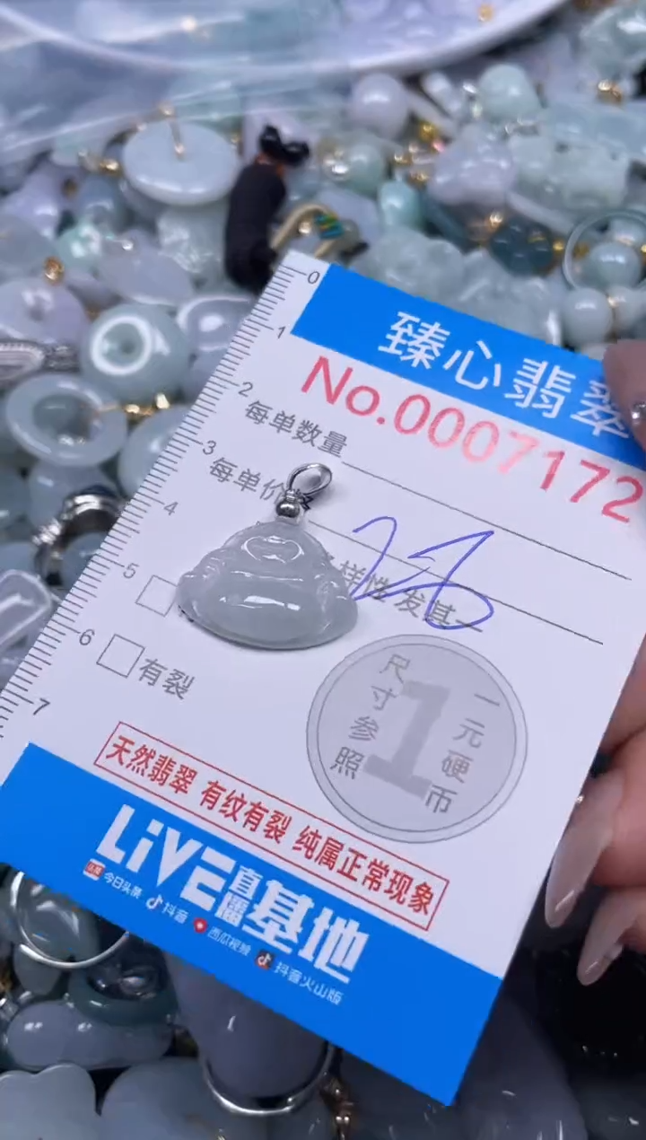 颈饰未镶嵌翡翠7171