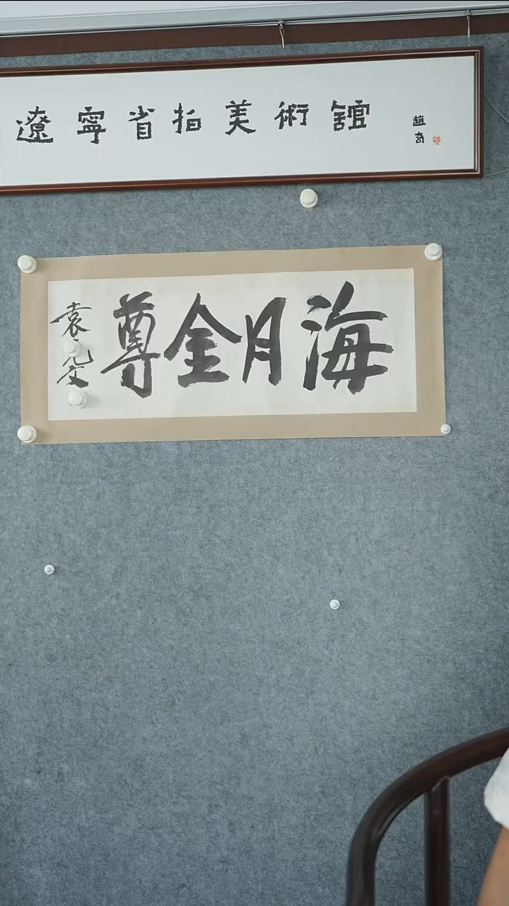 横款【辽拍】袁先生-书法