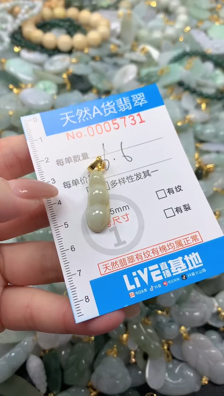 颈饰未镶嵌翡翠净货挂件-5731