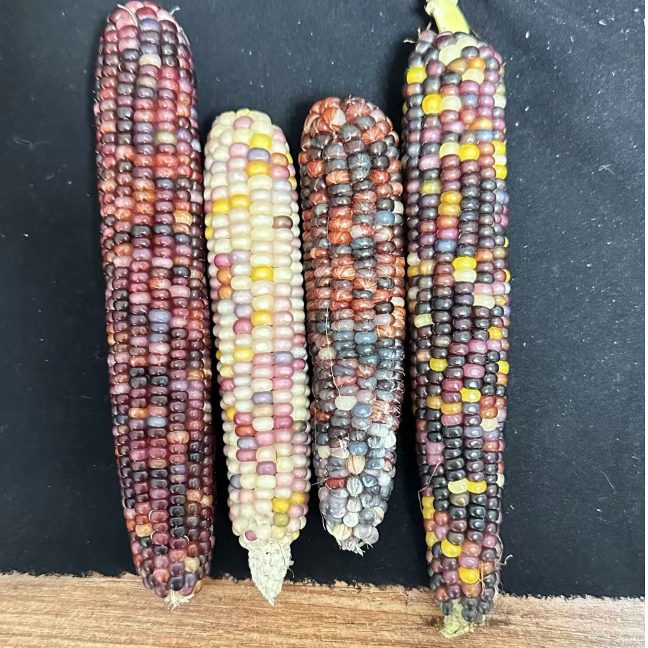 玉米盲盒专属链接文玩玉米毛料