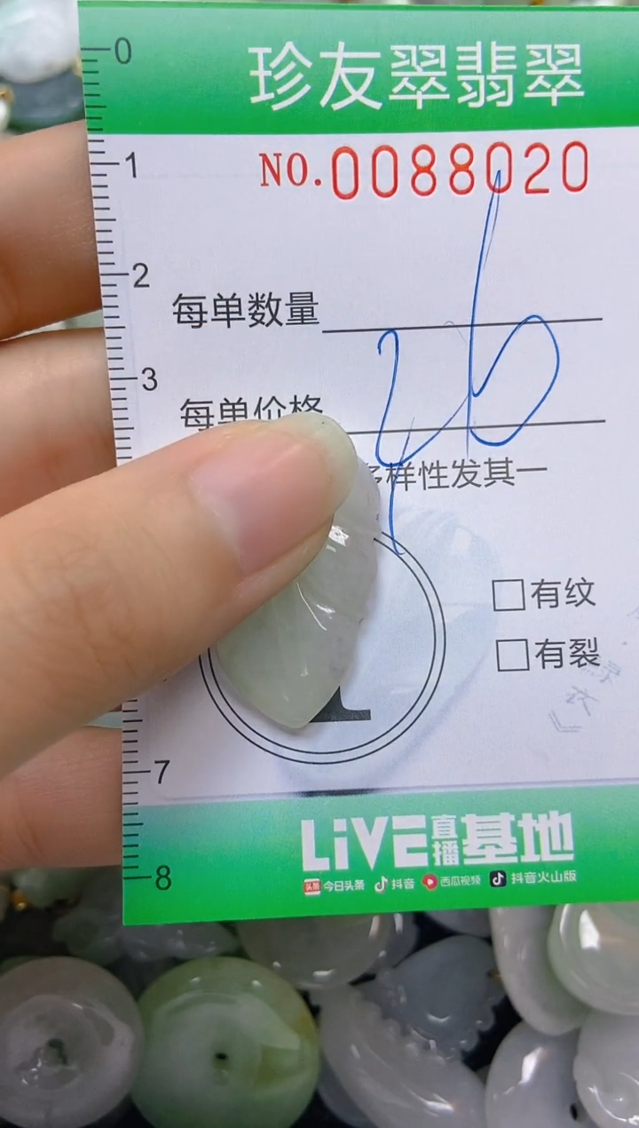 【闪购商品】翡翠颈饰未镶嵌闪购0088020