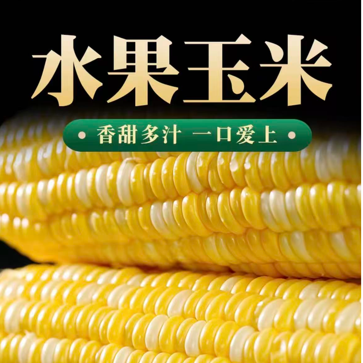 新疆头茬新鲜冰淇淋金银花双色水果玉米甜脆多汁可生食鲜嫩多汁