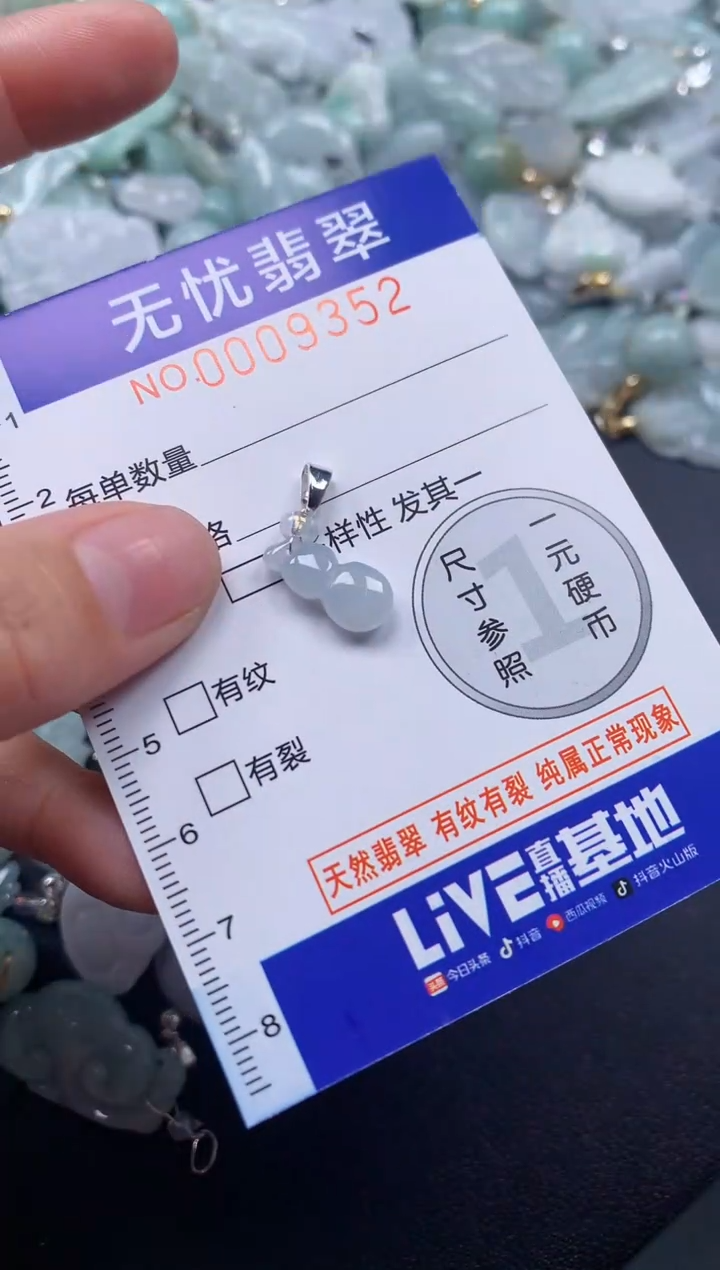 颈饰未镶嵌翡翠9352