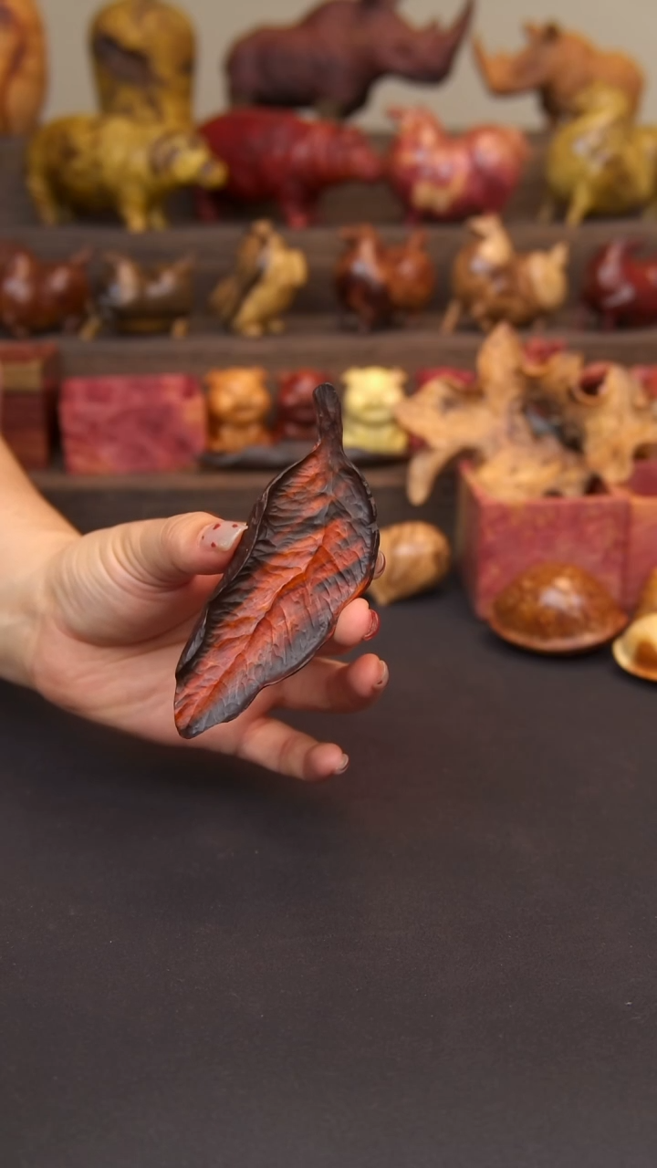 交趾黄檀（大红酸枝）酸枝叶子