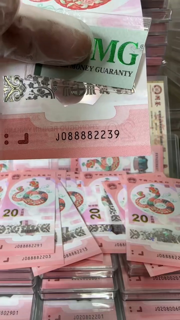 【闪购商品】塑料088882239-包PMG67分